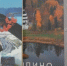 Книжный экспресс - Газета Новая жизнь