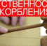 Ответственность за оскорбление - Газета Новая жизнь